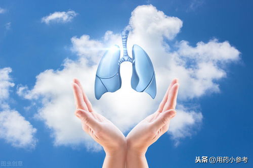 好肺好健康，日常生活中護肺良方